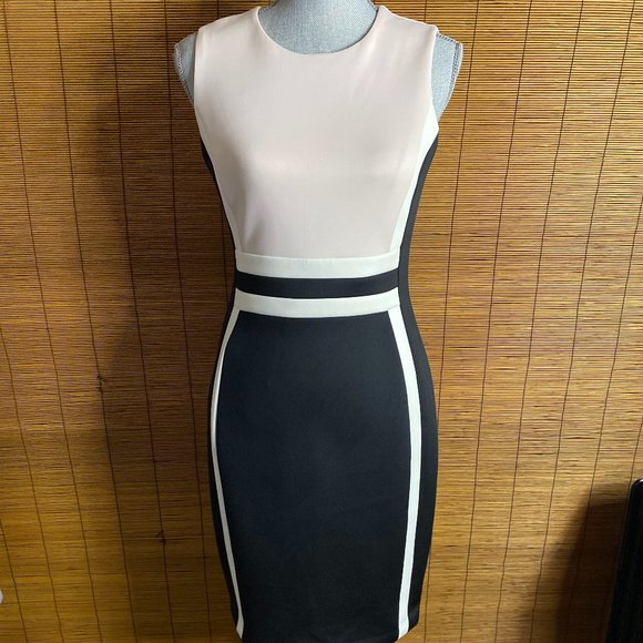 Calvin Klein Dresses & Skirts - Calvin Klein Blush Pink, White & Black Back Zipper Sheath Dress Size 4